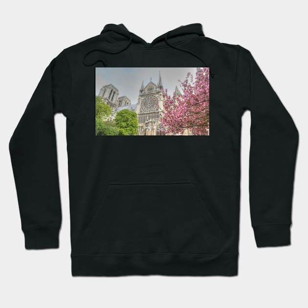 Cherry Blossom Notre Dame Hoodie by Michaelm43